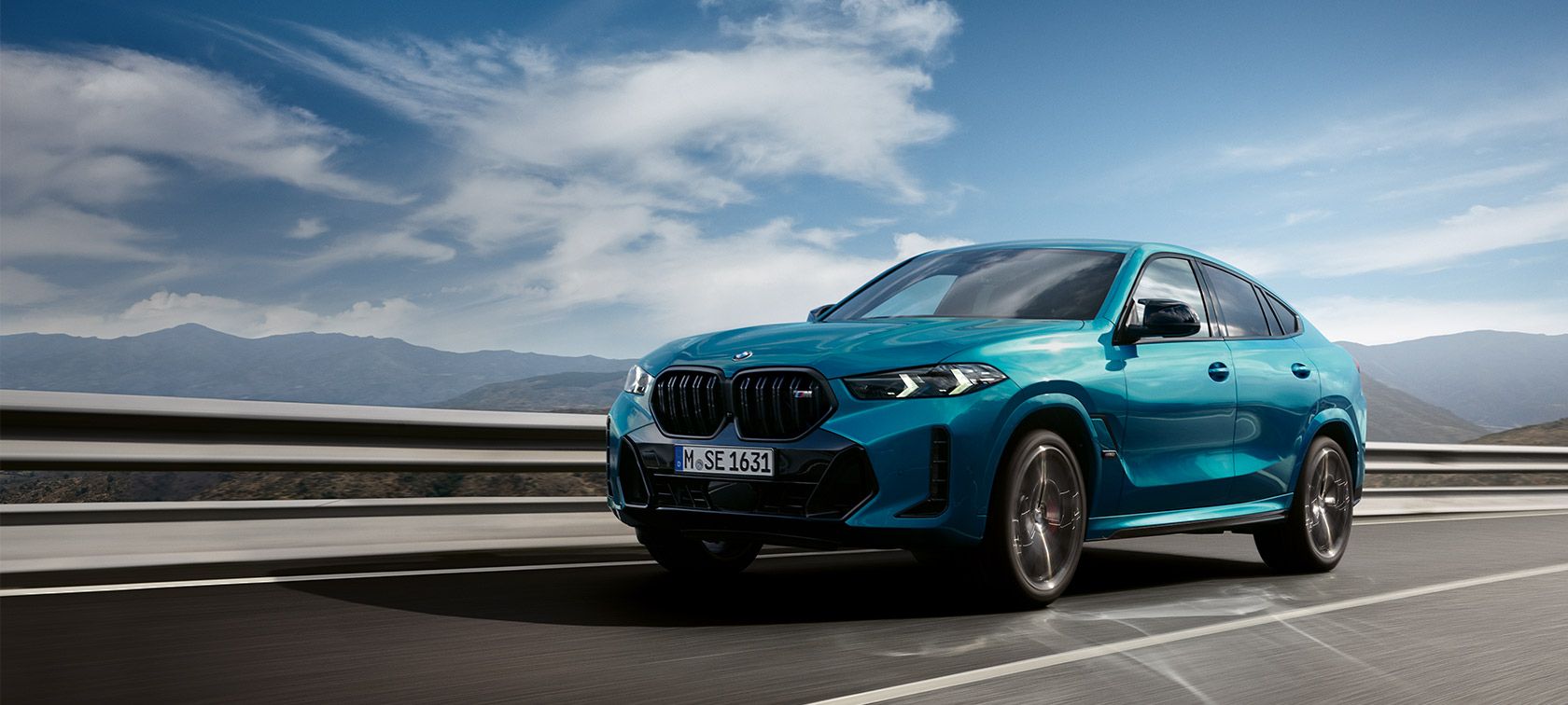 BMW X6 BANNER